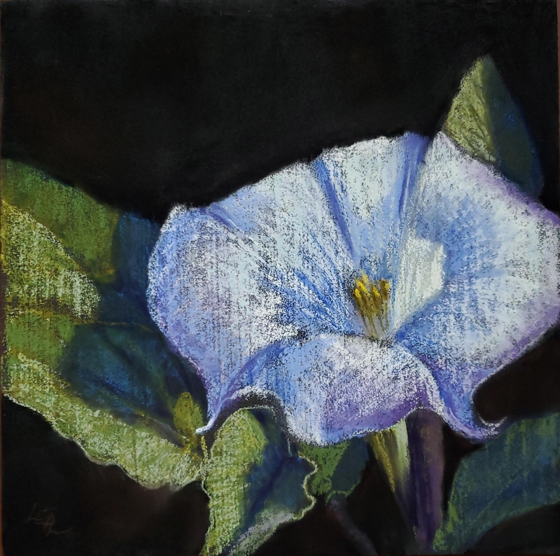 Datura No 1 by artist Anna Lisa Leal